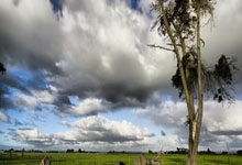 包含转会期浙江稠州备战NBA季后赛，回应争议细节曝光，赛场秩序良好，团队化学反应显著的词条-九游网址