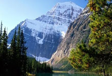 包含转会期浙江稠州备战NBA季后赛，回应争议细节曝光，赛场秩序良好，团队化学反应显著的词条-九游网址