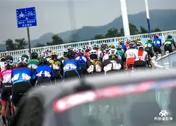 包含自行车夜战:关中银狐队淘汰对手雪域猎隼队,临门一脚致胜主场山呼海啸的词条-九游体育